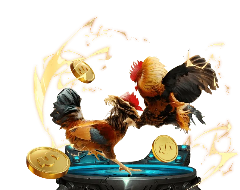 Ưu Đãi VIP so số 66